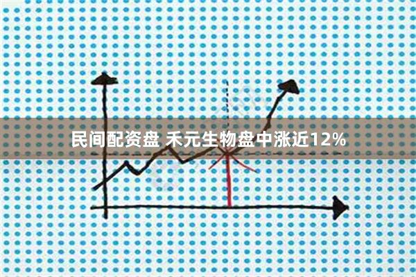 民间配资盘 禾元生物盘中涨近12%